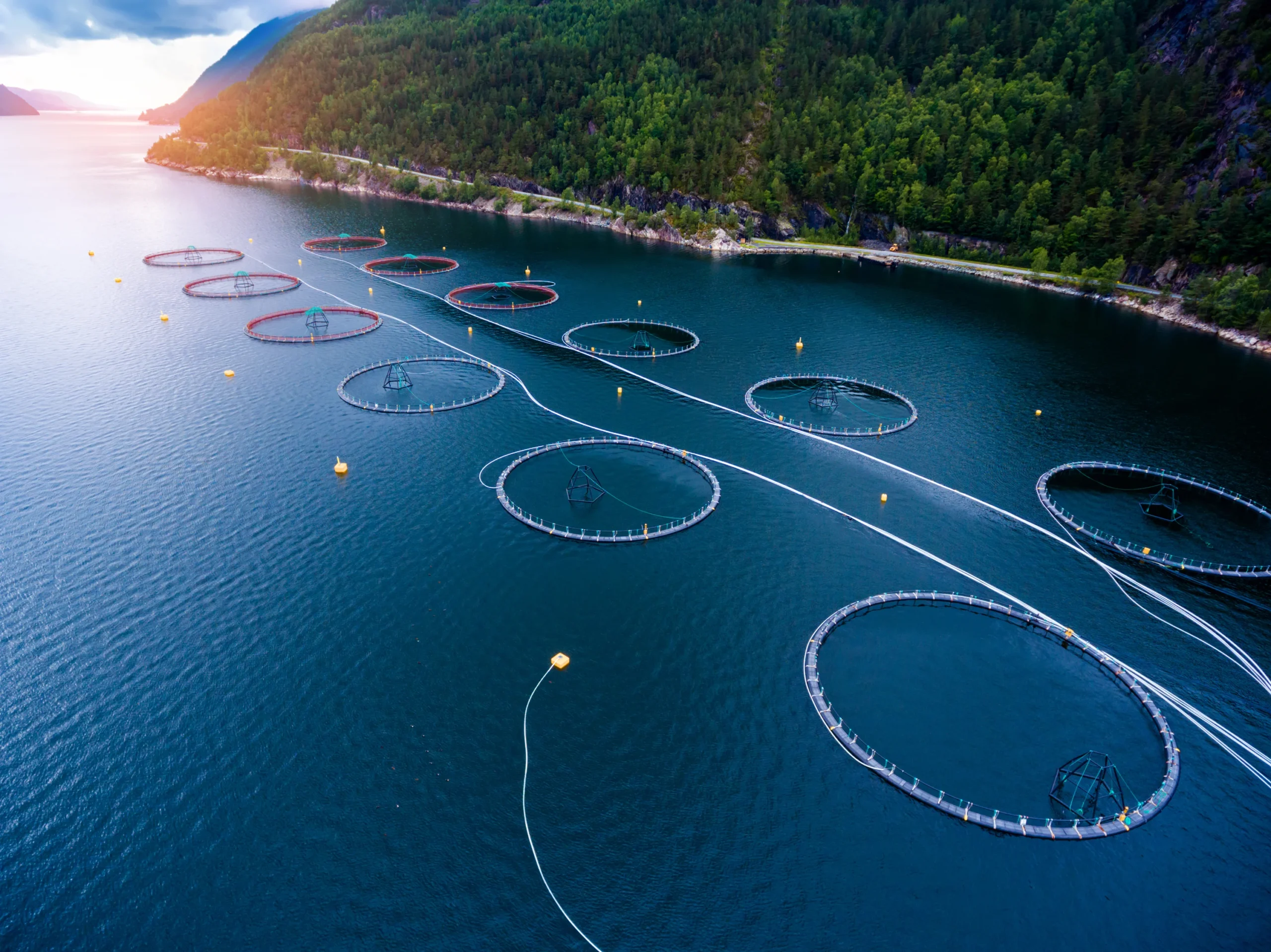 Aquaculture